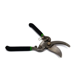 Pruning Shear Curved