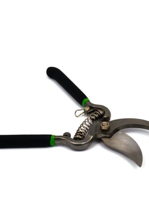 Pruning Shear Curved